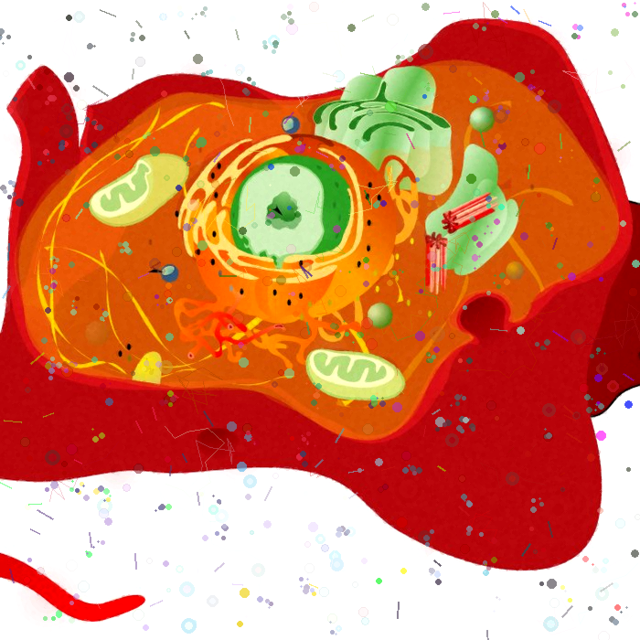 Cell Reference